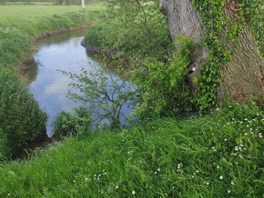 Le Vulcain Leilighet Le Hommet-d'Arthenay Eksteriør bilde